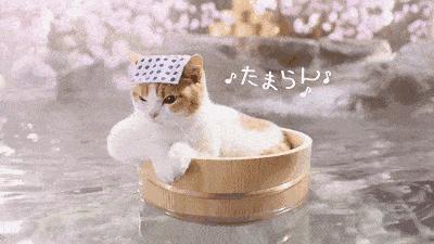 太原一百公里内温泉,太原可以一起泡的温泉