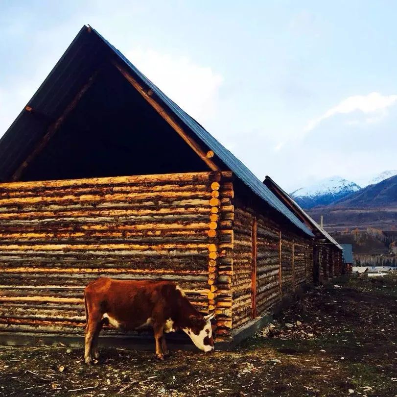 抖音做完酒店，又开始做旅行社“*梦春**”