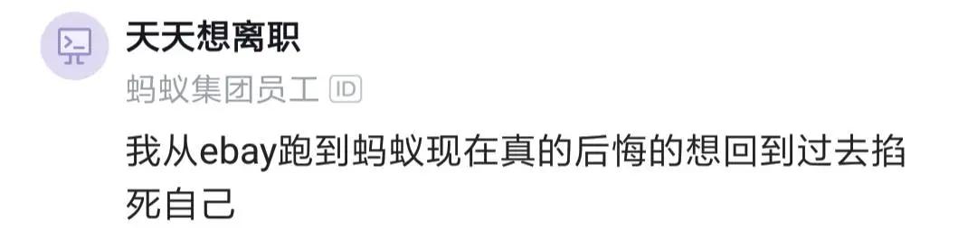 程序员分享一个成功的案例,程序员分享自己的工作经验