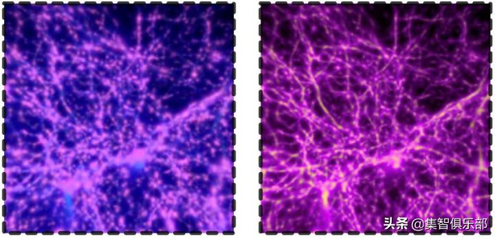 黏菌大作战：预测星系间暗物质网络的黏菌算法