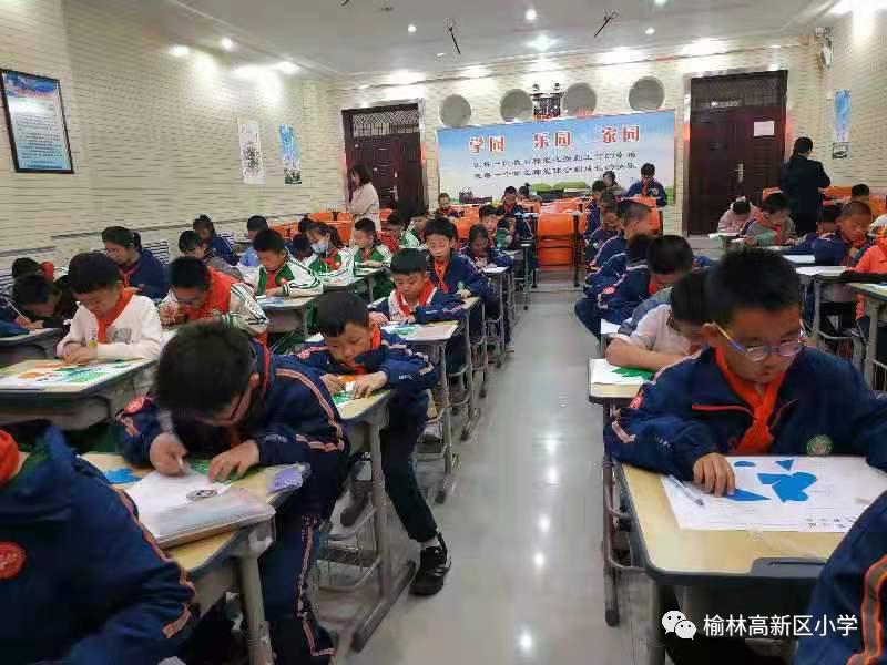 沙湾小学七巧板比赛,沙湾实验学校一二年级七巧板比赛
