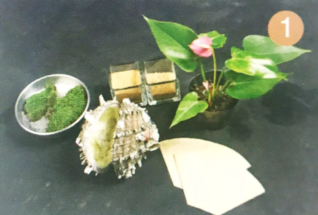 红心火鹤花盆栽,火鹤花盆栽