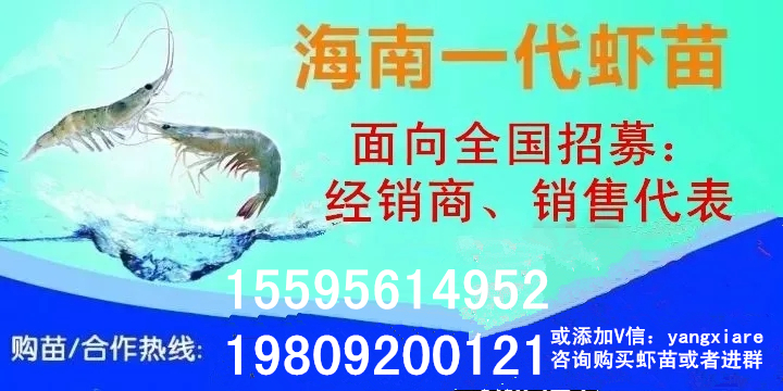 蓝藻对水的危害,黑藻和蓝藻对鱼缸的危害