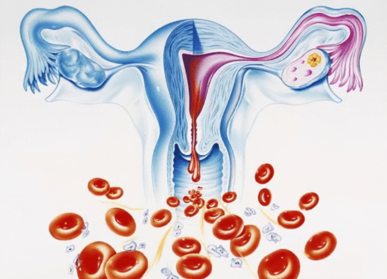 50岁月经不来了怎么调理,40岁大姨妈不来了应该怎么办