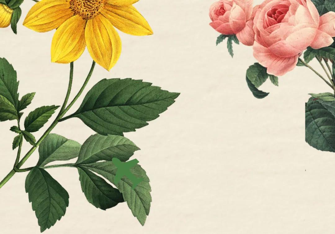 花卉市场晚上营业,今天的花卉市场