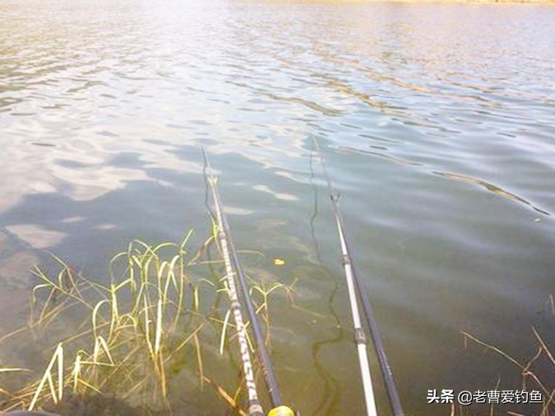 钓鱼小药制作大揭秘,自制一年四季用的钓鱼小药