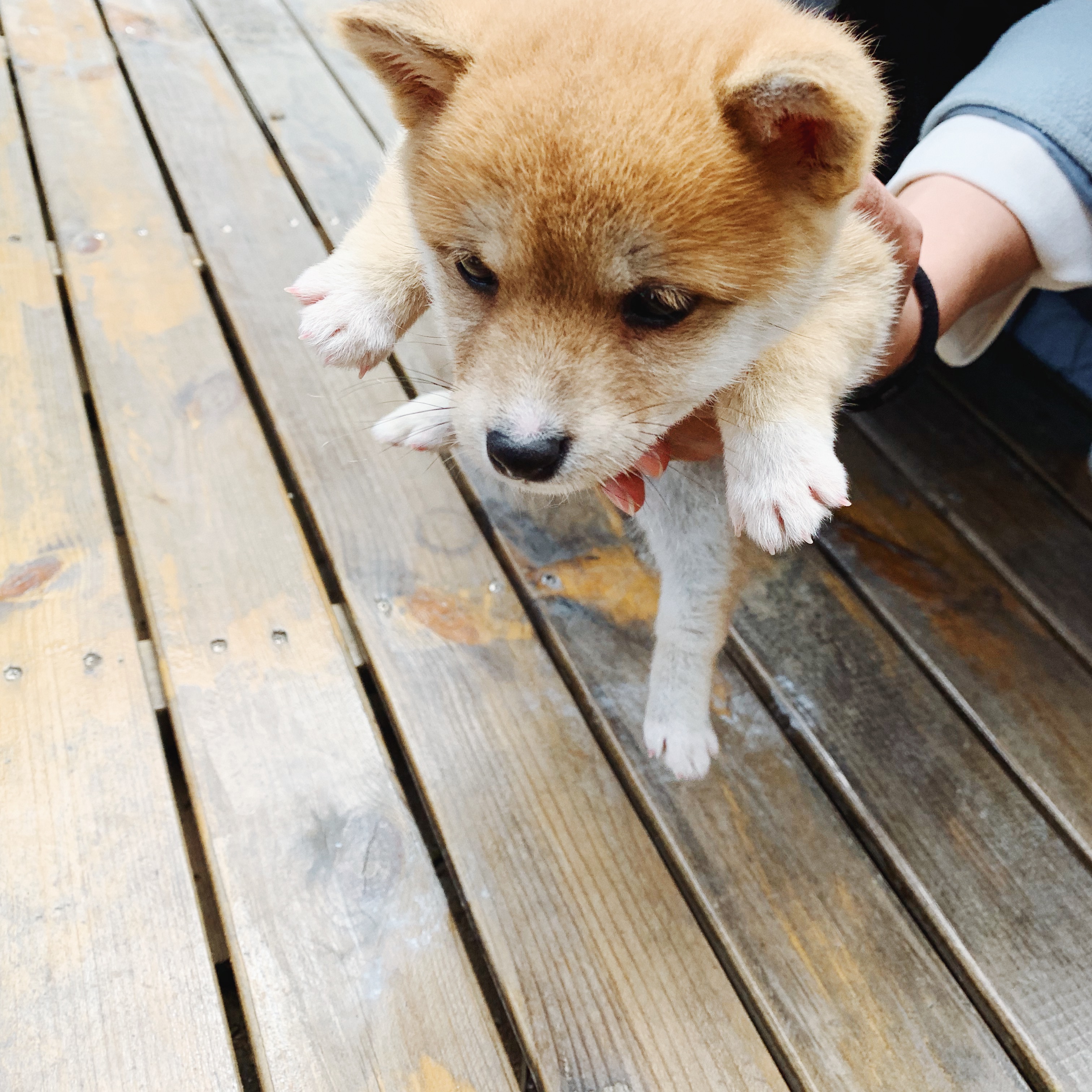圣托里尼海岛旅游攻略,圣托里尼的绝美海岛