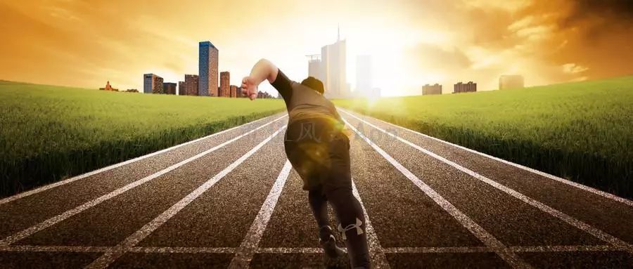 折翼的鸟还能飞起来吗,贵人鸟什么时候出现的