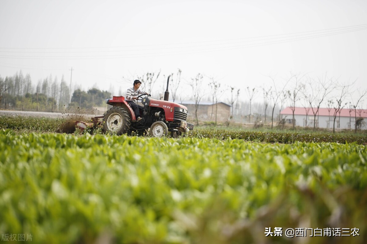 种粮大户租一亩地需要多少租金,安徽淮北种粮大户每亩租金补贴