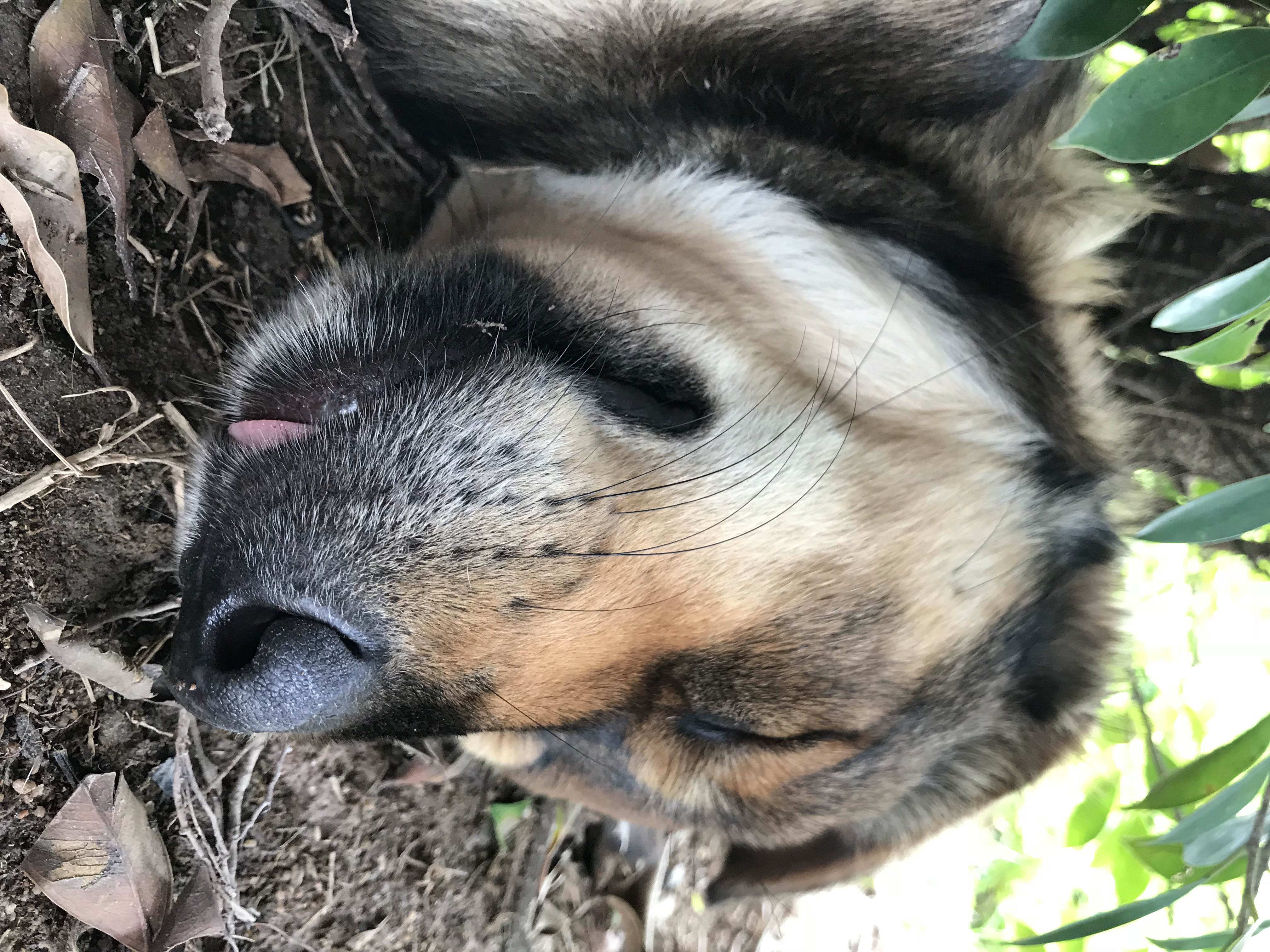 第一次去泰国旅游需要带什么,第一次到泰国旅游需要带什么