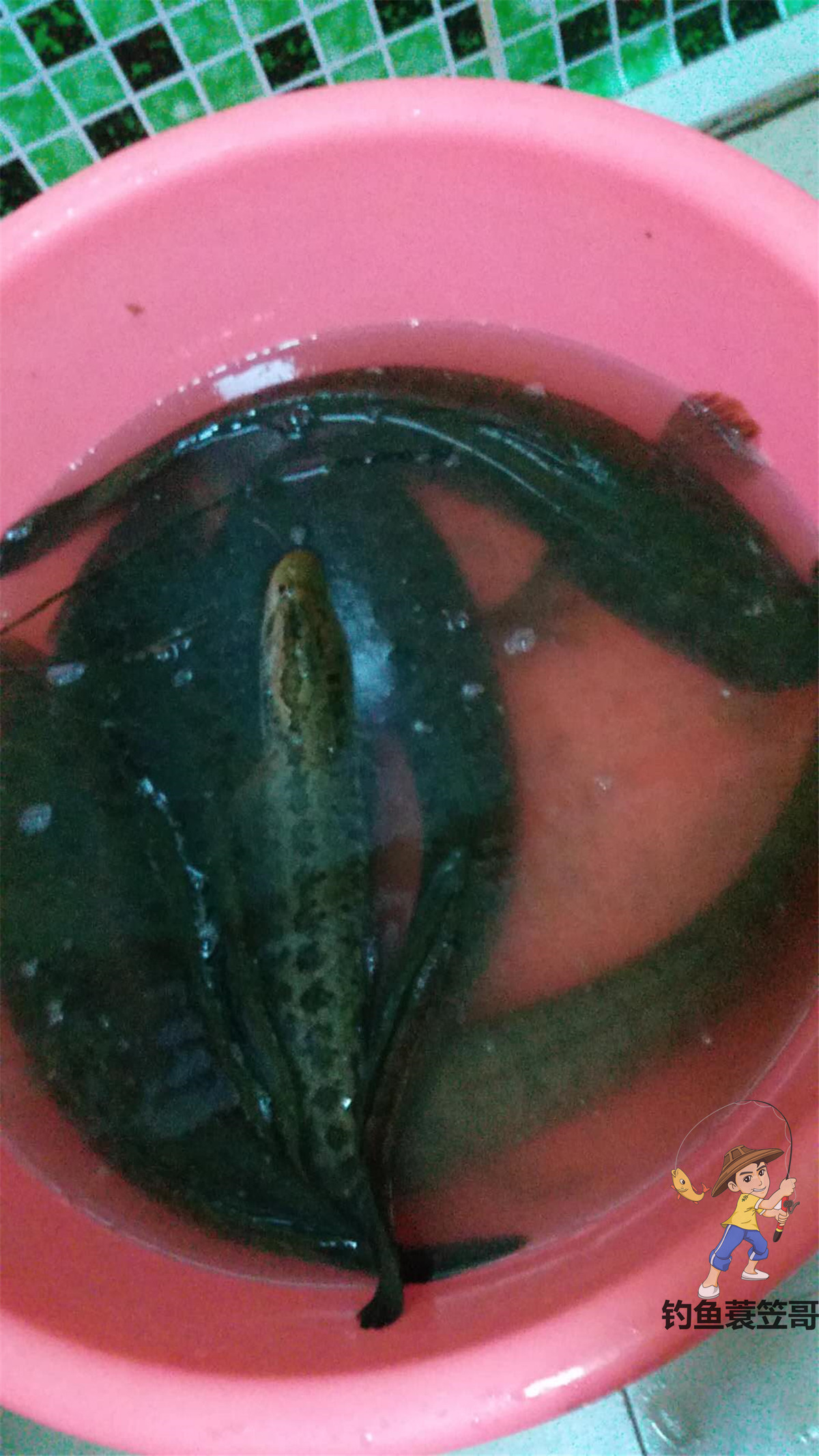 鱼钩应该怎样选择和使用,教你如何选择最好的鱼钩