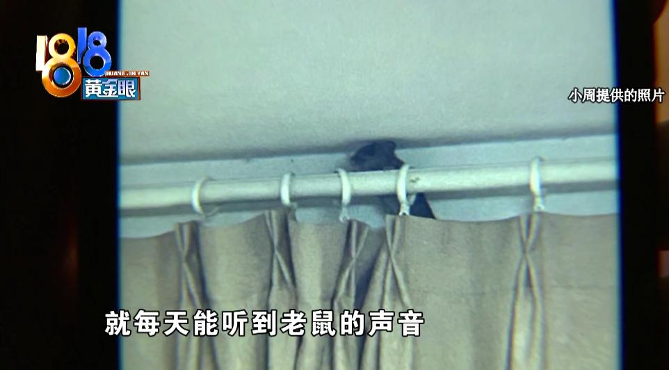 鍑虹灞嬩笌鑰侀紶鏂楁櫤鏂楀媷,濂崇敓瀵濆涓婃紨浜洪紶澶ф垬