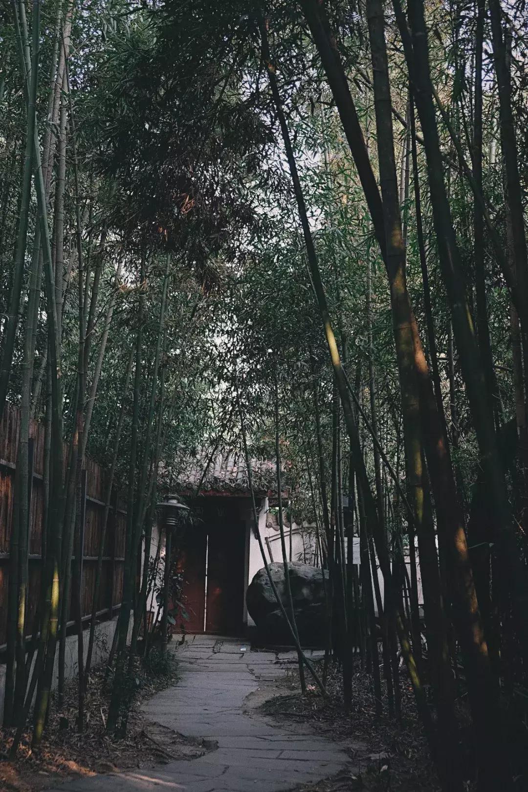 成都值得去的免费景点,成都景点小众游乐场