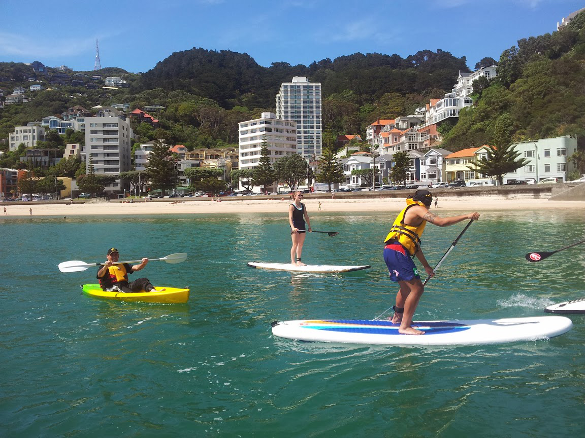 解读2024新西兰最佳中学排行榜,新西兰公立中学前10大排名2024年