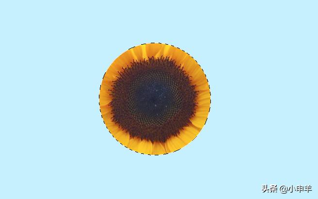 ps抠图删减选区,ps抠图修改边缘