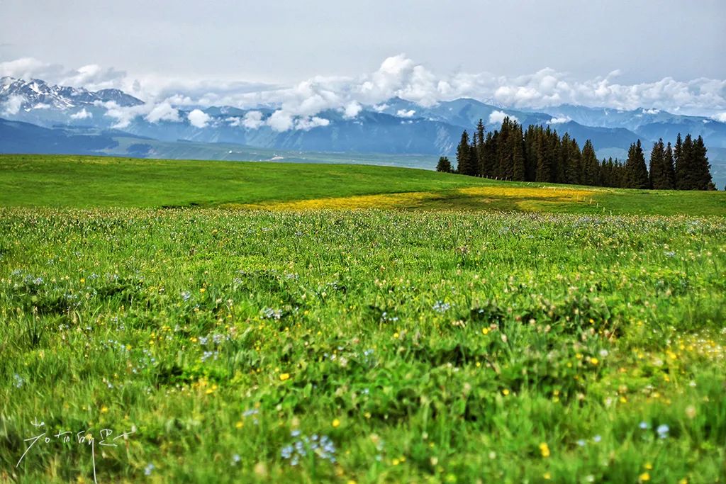 夏天去避暑穿什么,夏天要去哪里避暑