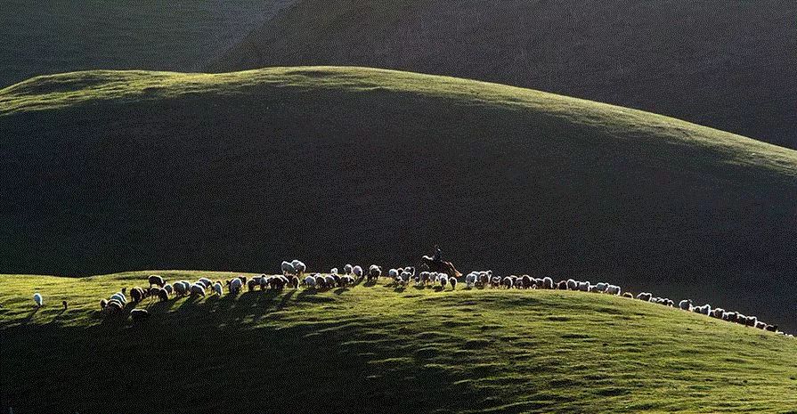 走马春季追花线|春漫*疆新**，牧笛声声中的杏花村