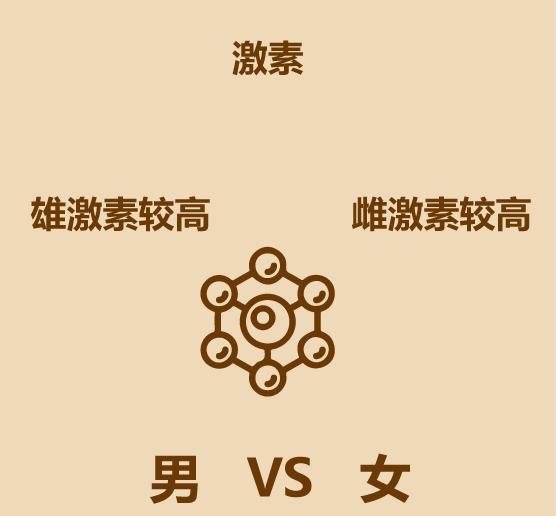 男女区别原版,男女区别视频讲解