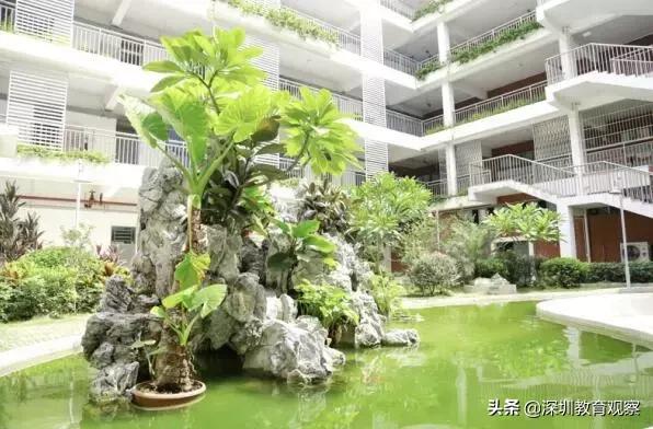 深圳福田小学排名一览表,八一八小学