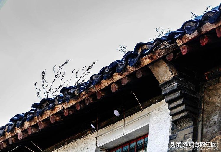 烟台所城里承载着多少回忆,烟台所城的来历