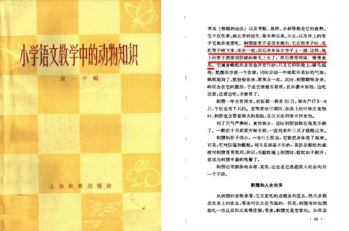 带刺的朋友课文小刺猬偷枣的过程,带刺的朋友小刺猬偷枣的故事