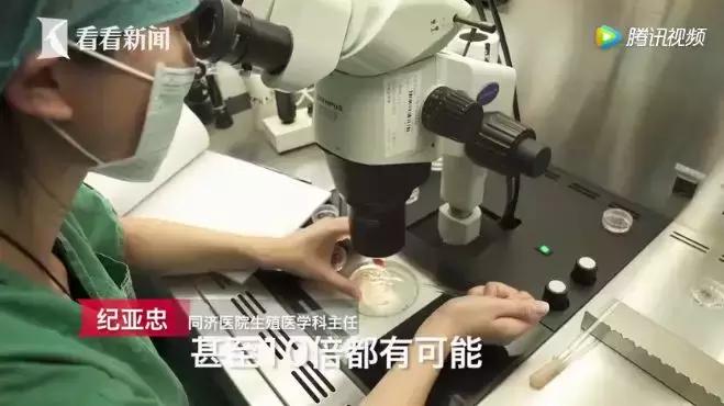 揭露代孕的骗局,揭露代孕黑色产业链的案例