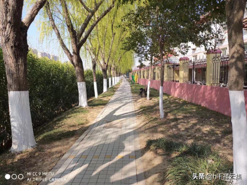 我的家乡商丘夏邑,夏邑又多一处美景有山有水还有花