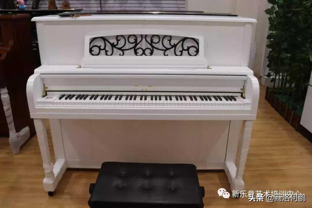 商洛佳音琴行,商洛琴行