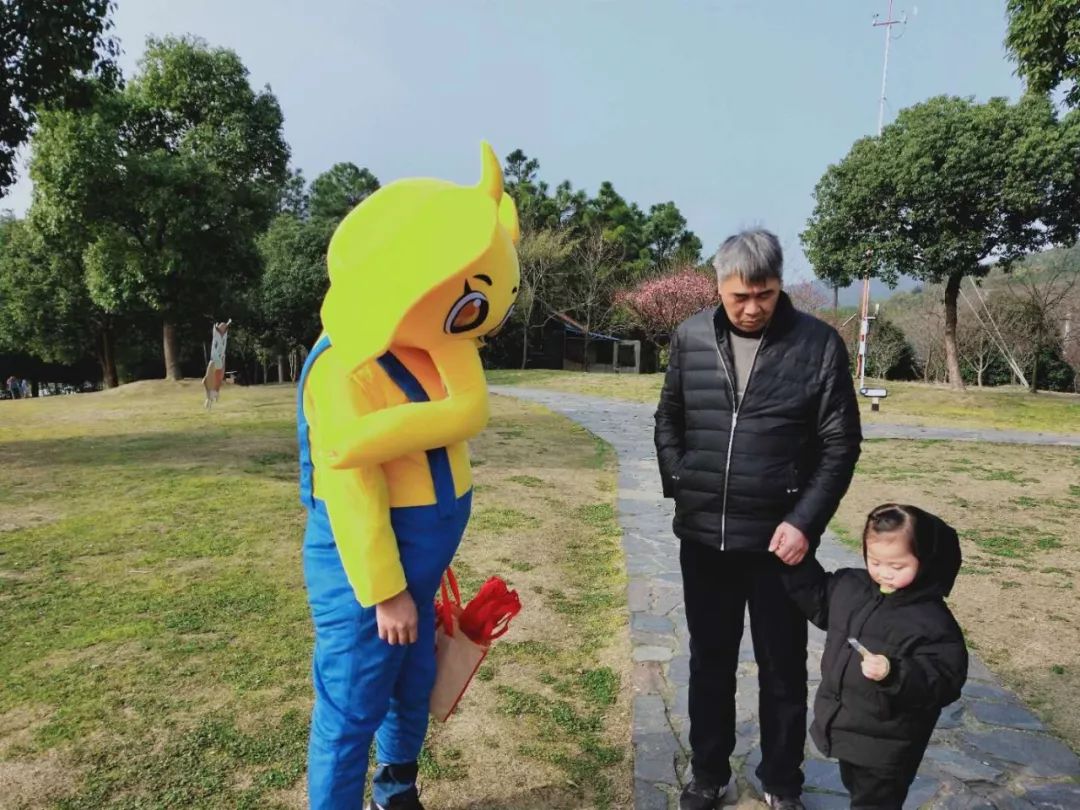 穹窿山风景区:金猪绘新春年味快乐过传统新年!