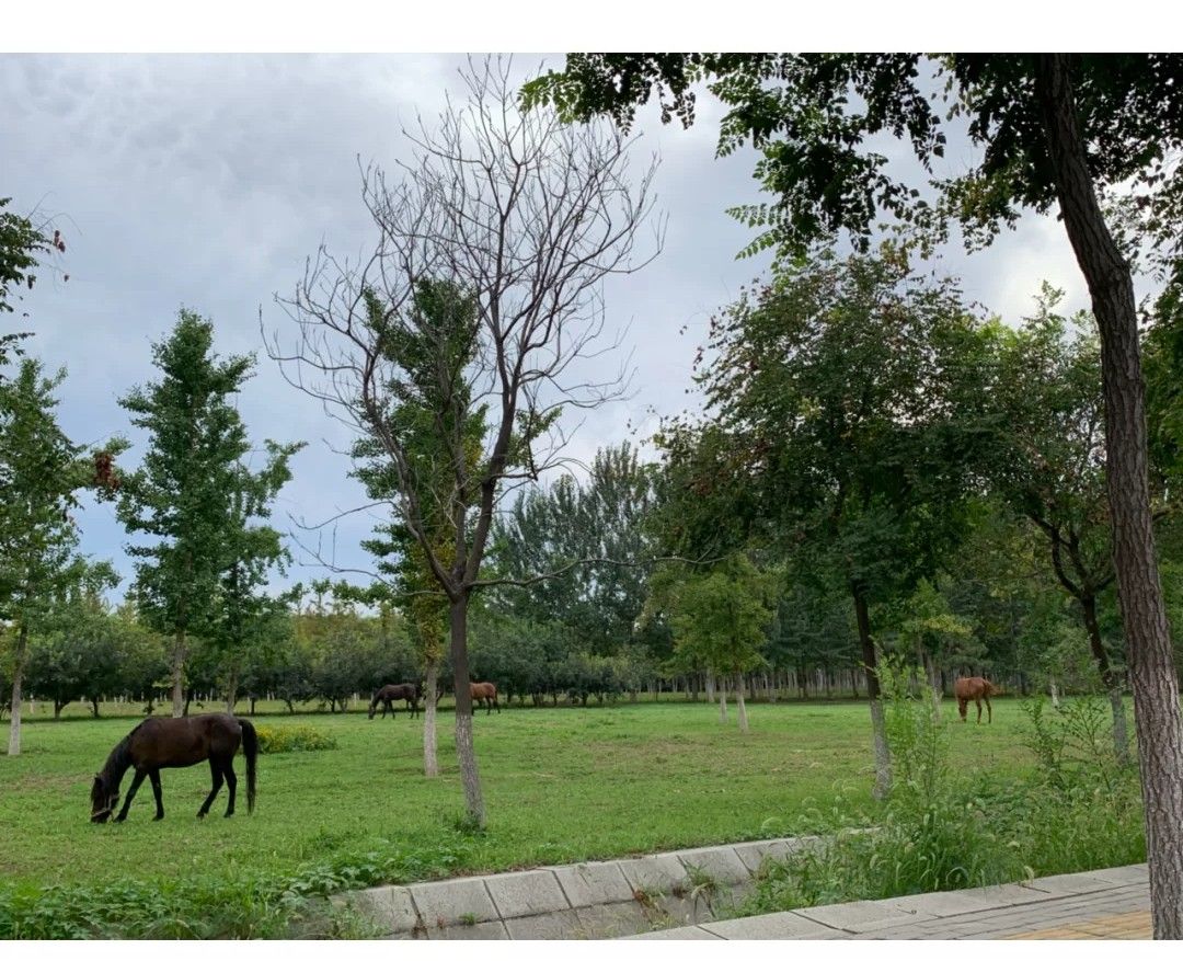 一个男人喝多就会打骂妻子怎么办,有病的男人打骂妻子