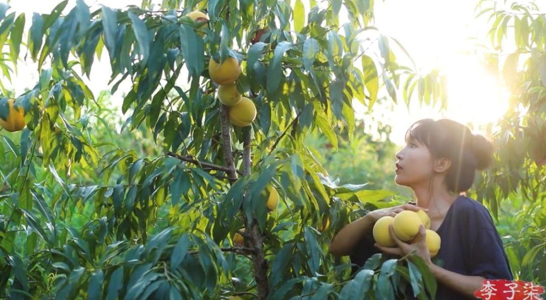 抖音快速涨粉玩法,抖音快速涨粉攻略