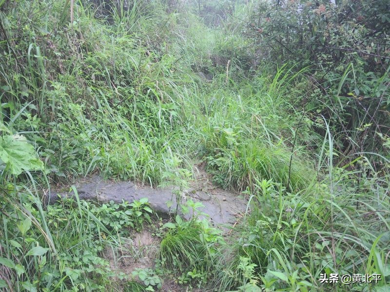 贵州遵义安场古道,贵州正安羊角老古道