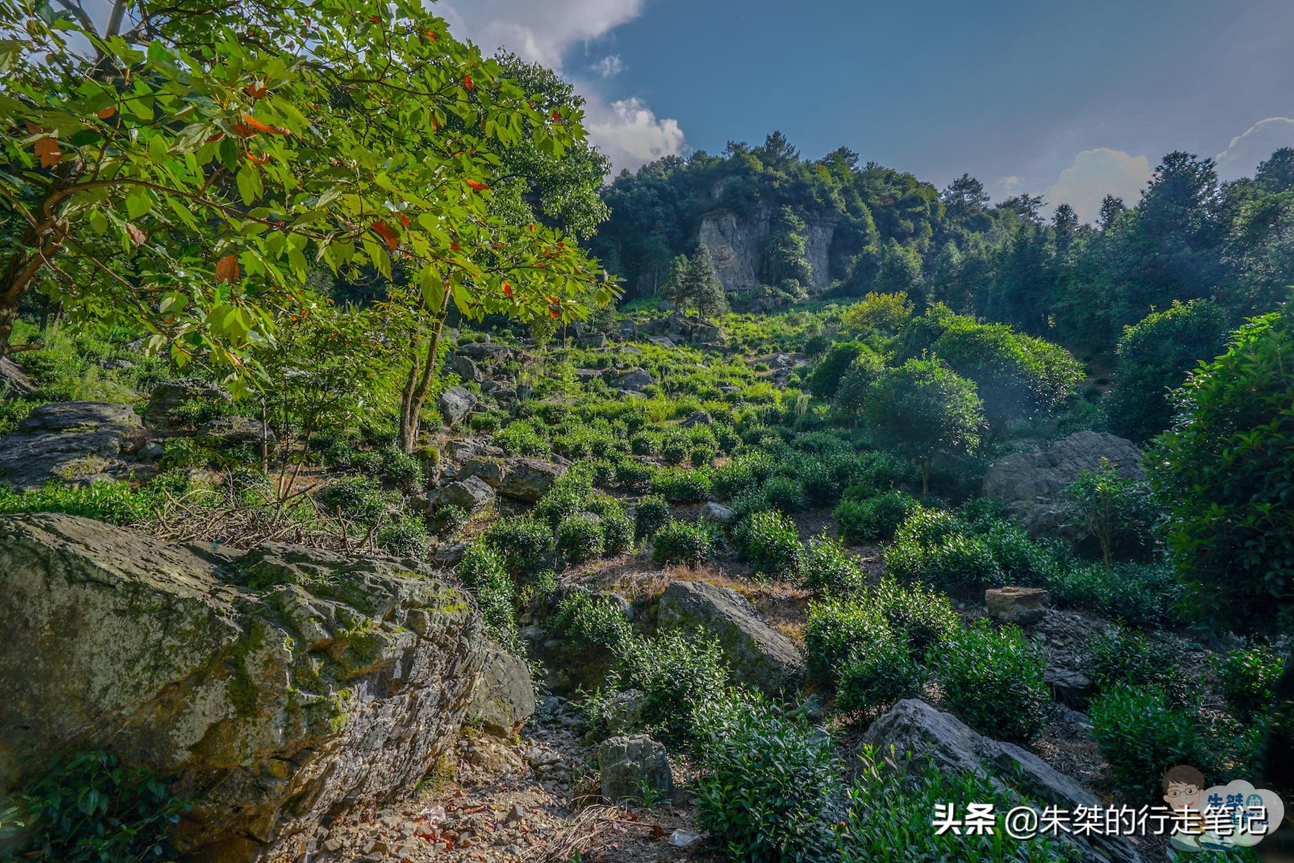 皖西大裂谷有很多山洞,皖西大裂谷景区
