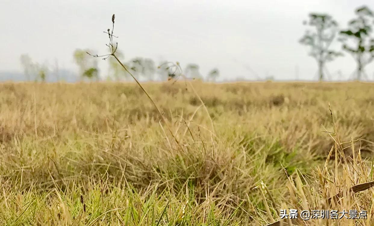 石岩湖是一级水源保护区，为了保护周围都开始*迁拆**，能赔多少钱？