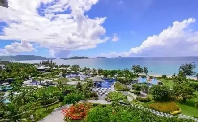 全国首家七星宠物度假酒店,最豪华的宠物酒店