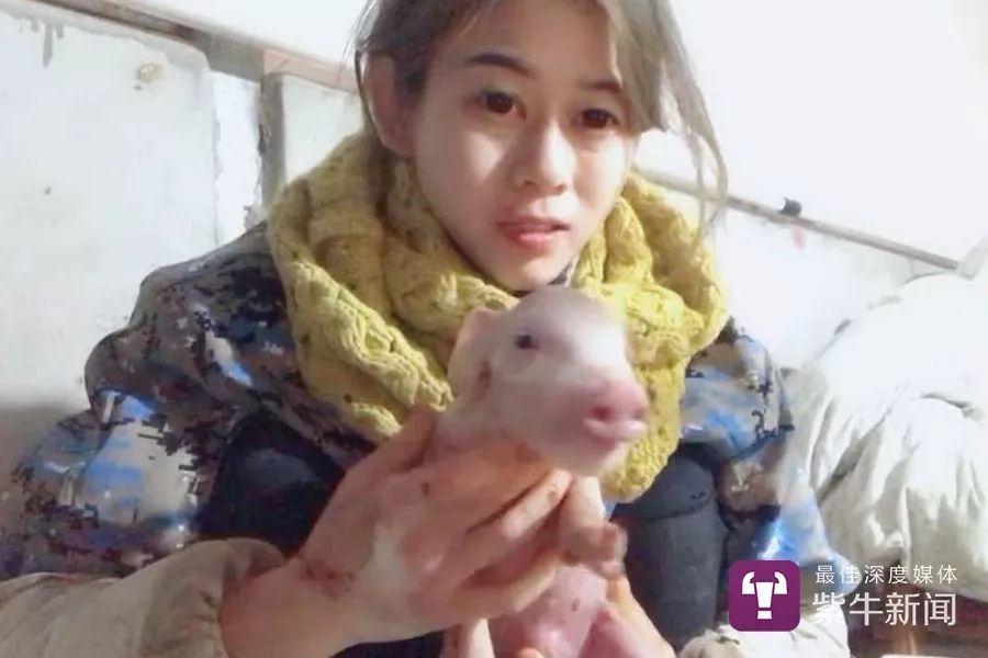 家里有矿的小萝莉,97年小伙回乡养猪年赚百万