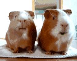 8个超级笑话,送给群里朋友乐一乐