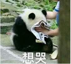 犯罪潜逃越南,诈骗犯潜逃越南