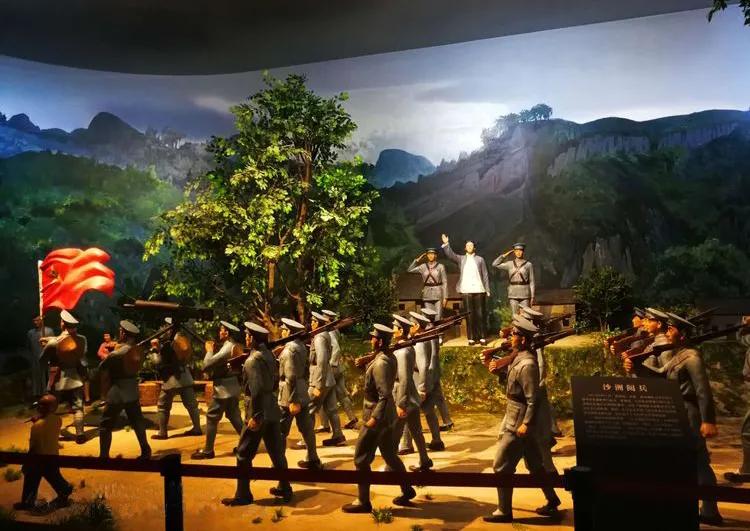 江西铜鼓康养胜地,江西红豆杉景区