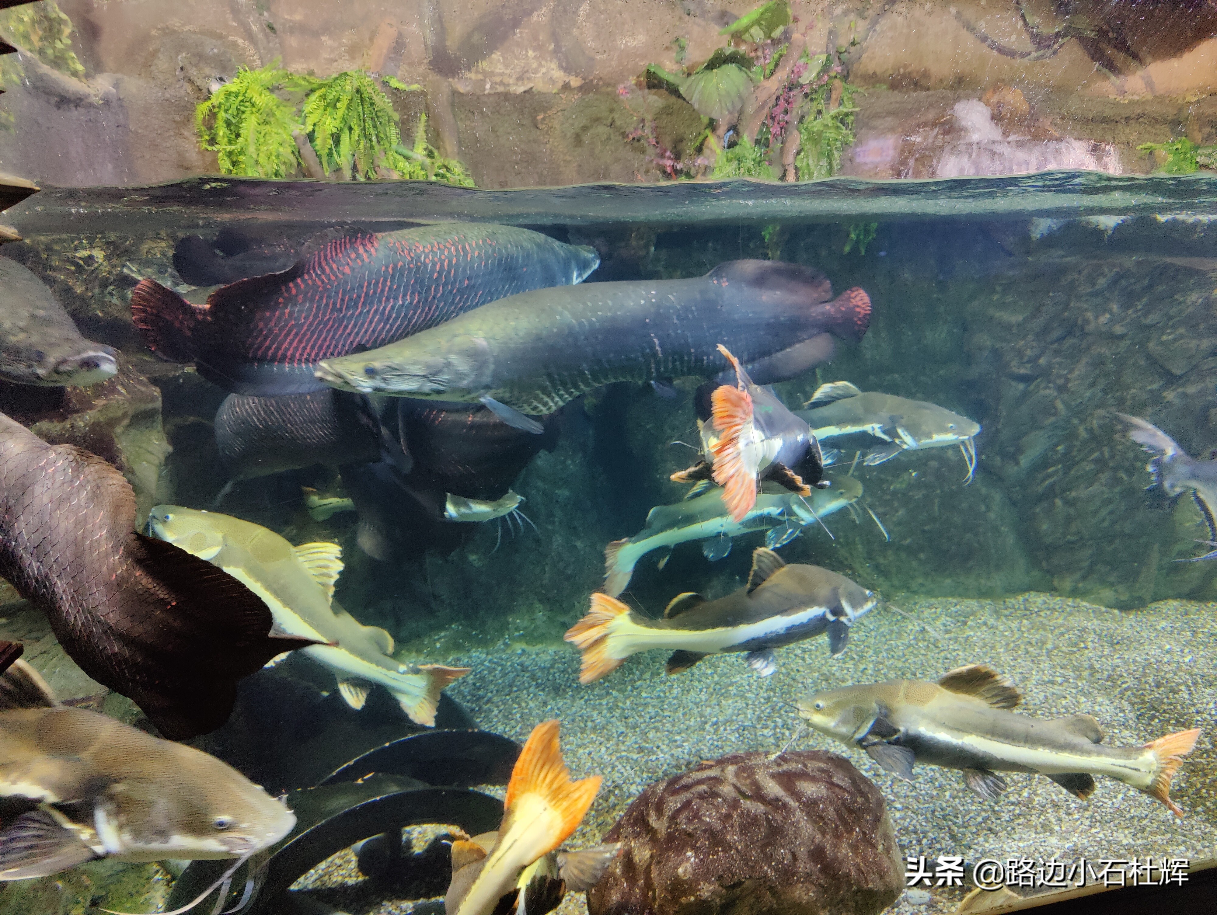 北京海洋馆海底世界游玩攻略,海洋馆北京海底世界游玩路线