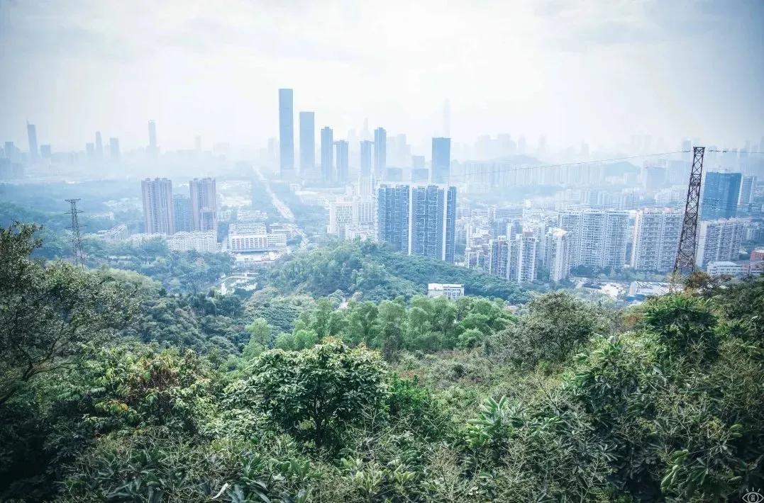 4号线值得逛的地方,9号线有什么地方可以玩