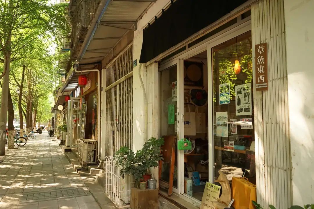 人民公园小南街,人民公园长发魔女