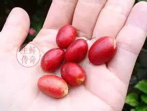 海南必吃十种水果图片名称,海南水果品种大全排名