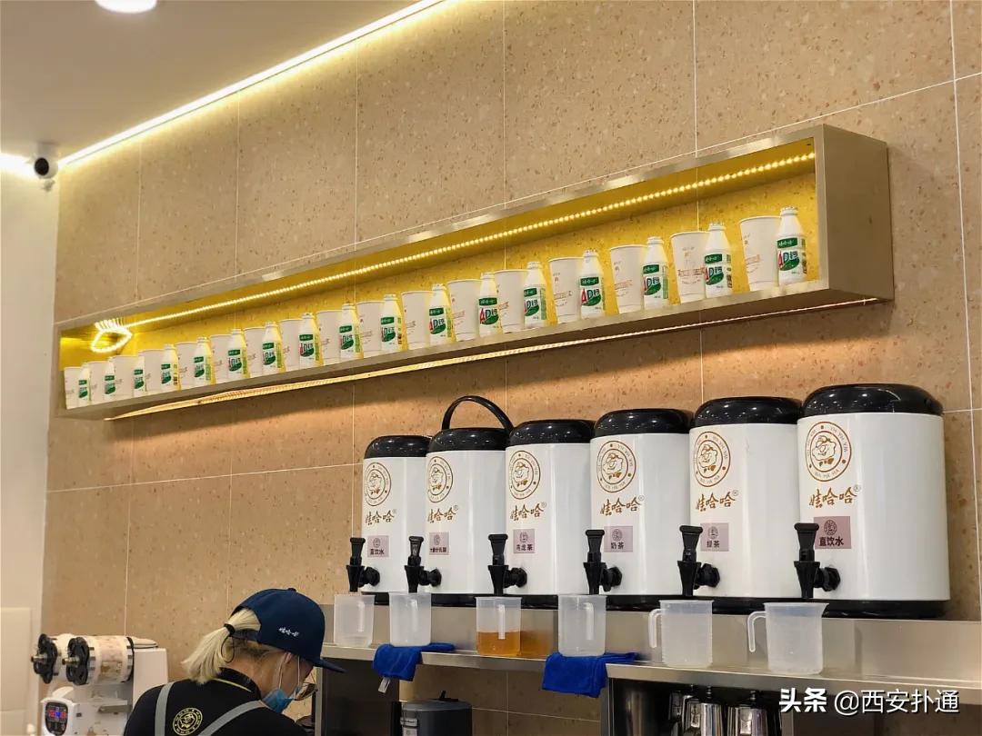 爷青结和爷青回出自哪里,娃哈哈奶茶店西安