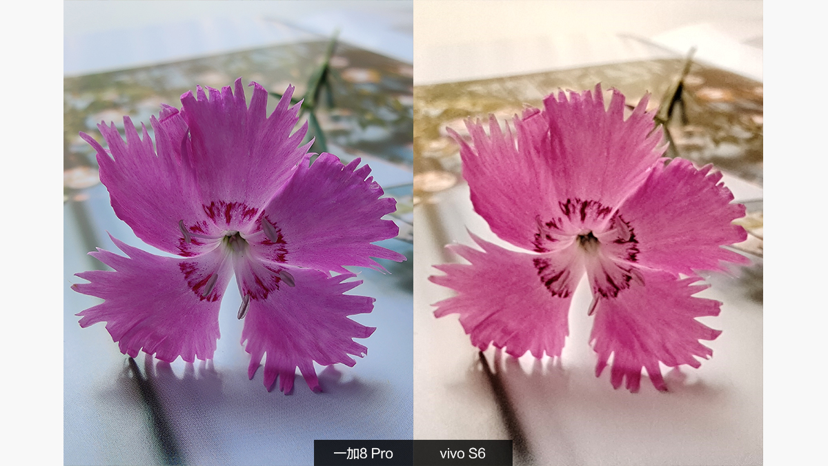 科技美学一加9pro深度评测,一加oneplus8pro好还是一加8好