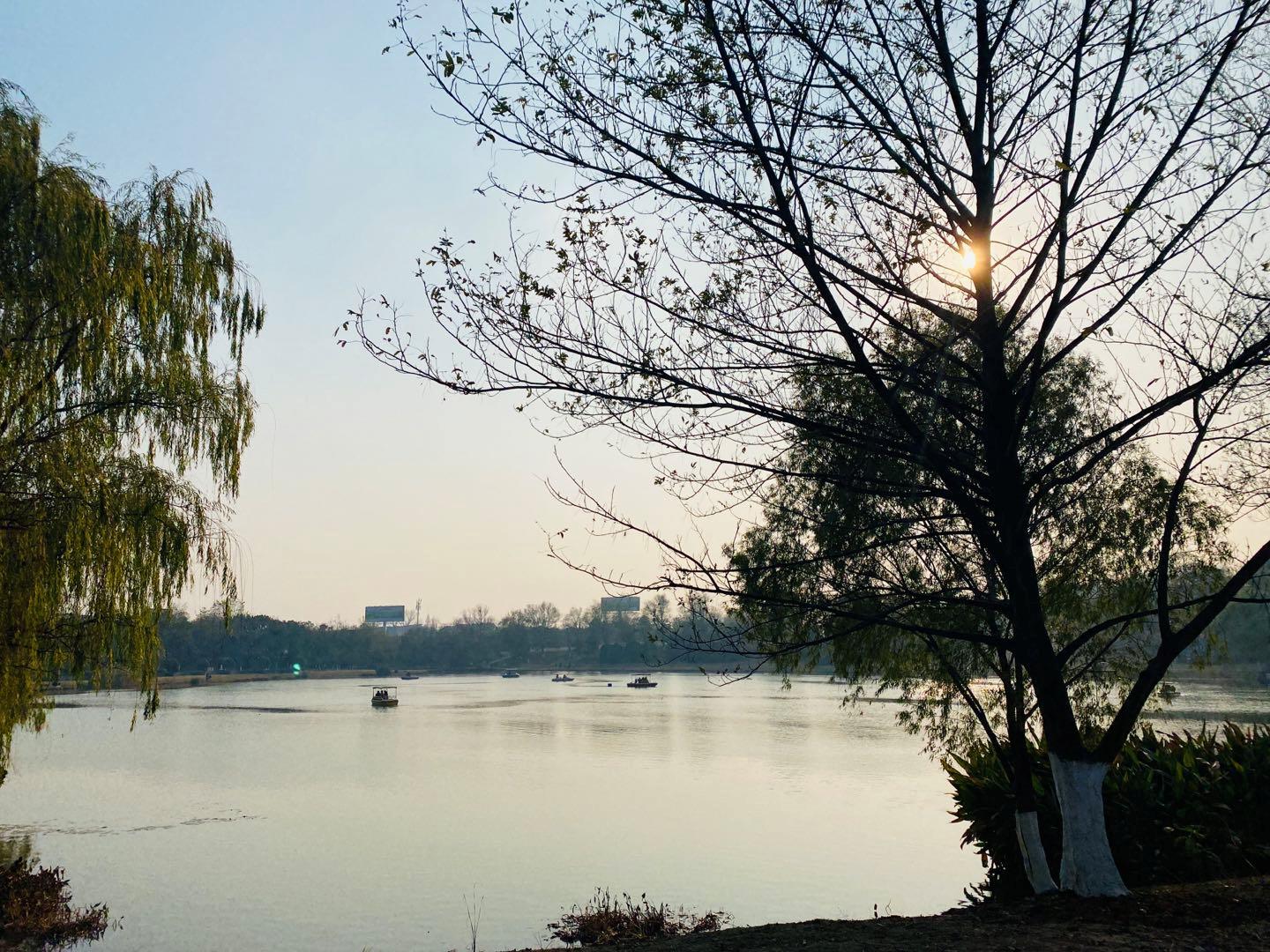 南京可以露营的公园,打卡南京旅游的景点