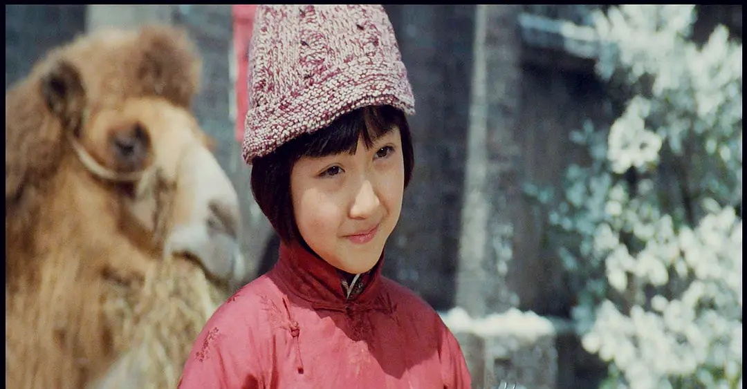 蹇冪伒涔嬬獥璞嗙摚,蹇冪伒涔嬬獥璞嗙摚鐢靛奖