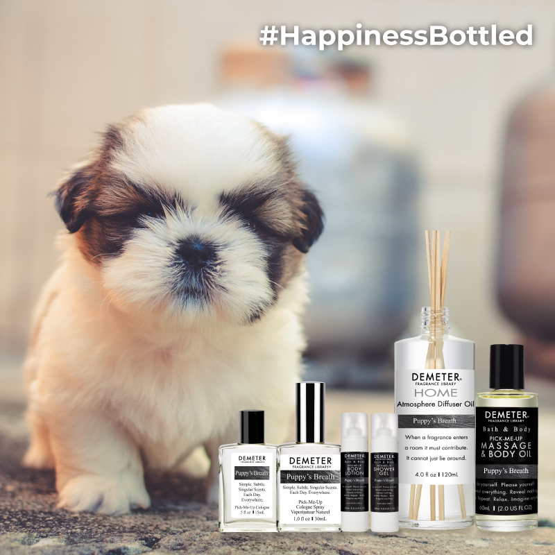 气味图书馆怎么那么贵,气味图书馆到底是什么