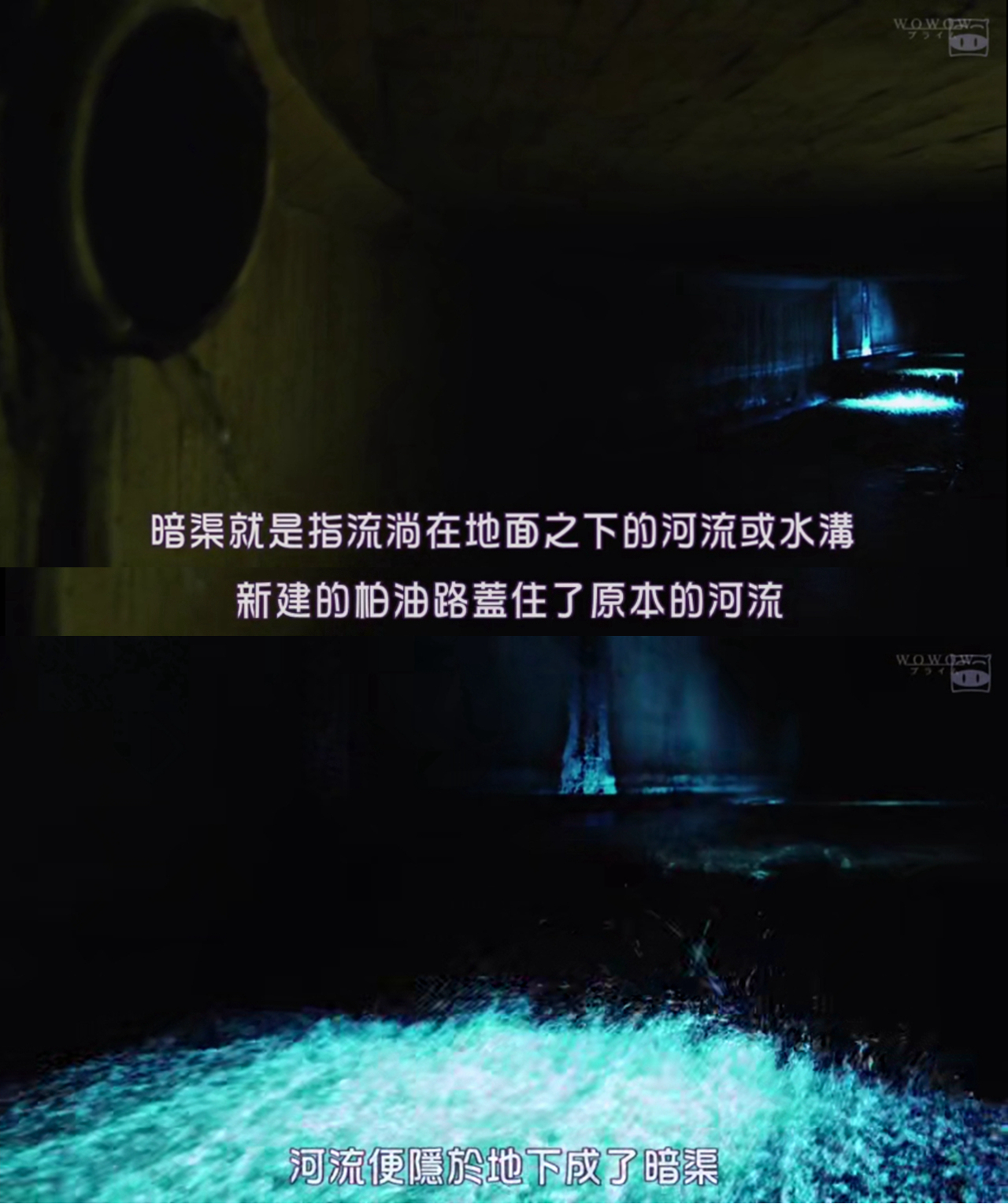 日剧推荐东京女性,日剧推荐东京女人