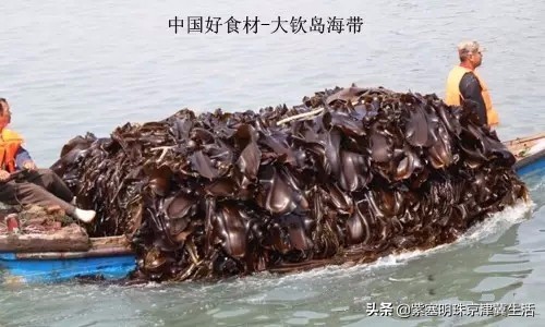 周末海边惬意的休闲生活,大钦岛俊俊渔家和兴达渔家哪个好